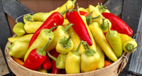 ABRUZZI'S café 422 hot peppers in oil and sweet peppers in oil are great on crackers, bread, pizza, hamburgers, hot dogs, grilled meats, over pasta, chili and salads.  A traditional Italian food, 100% natural, vegetarian, vegan friendly and gluten free